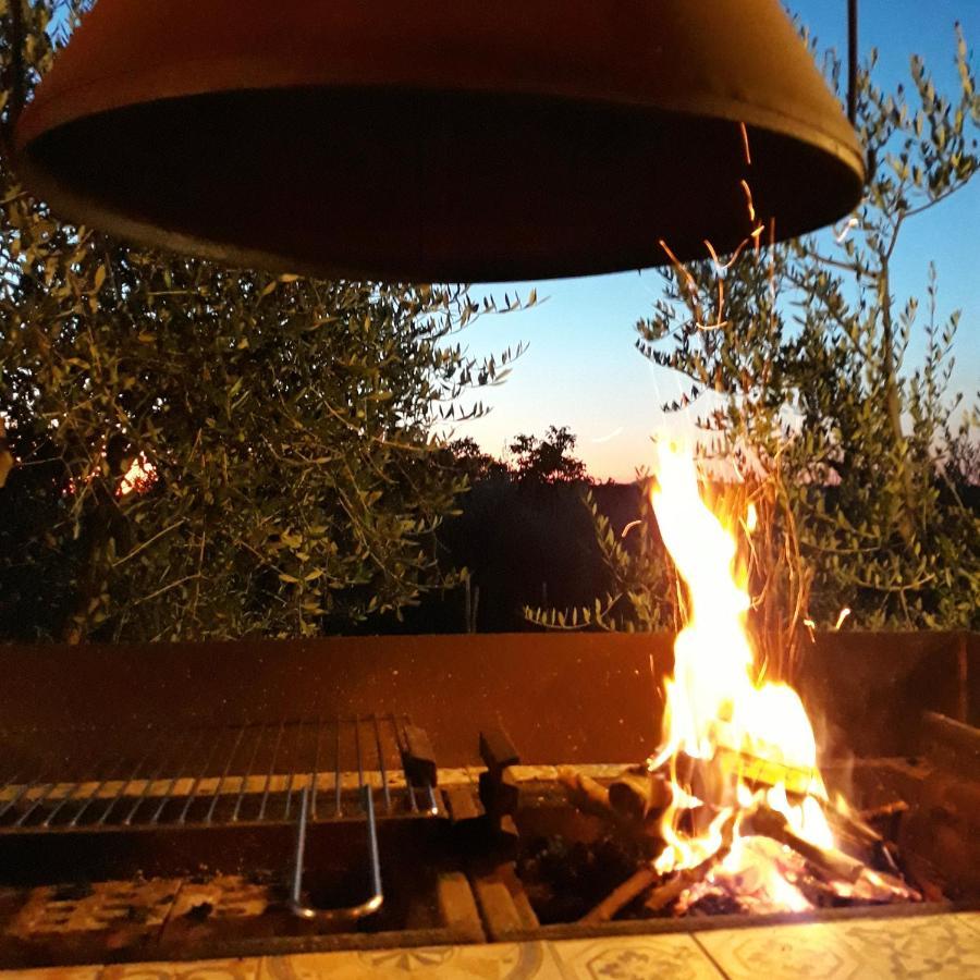 La Vigna Countrybnb Montottone 외부 사진