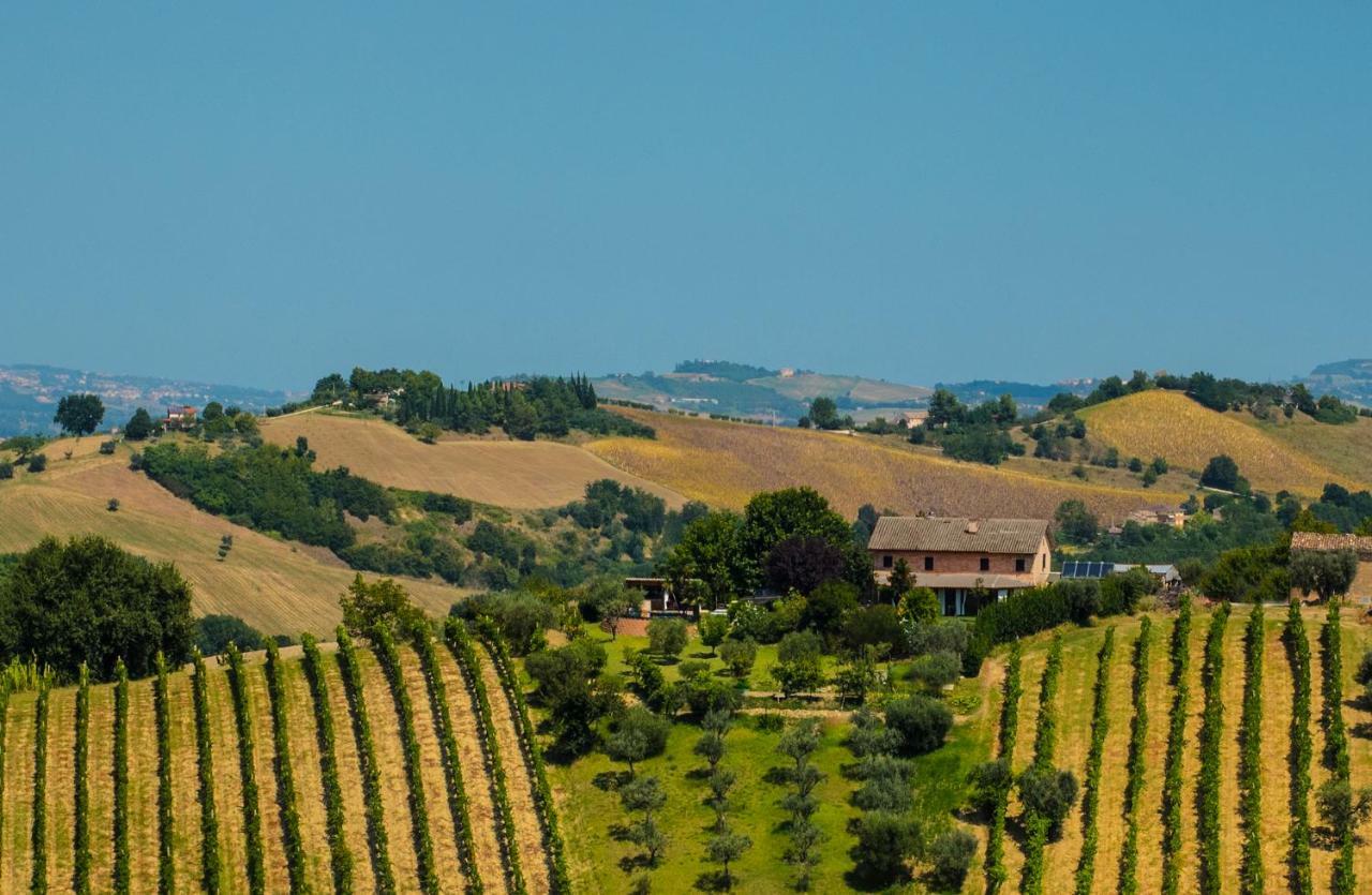 La Vigna Countrybnb Montottone 외부 사진